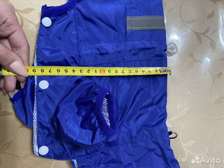 Одежда для собак