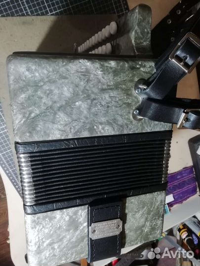 Гармонь кубань