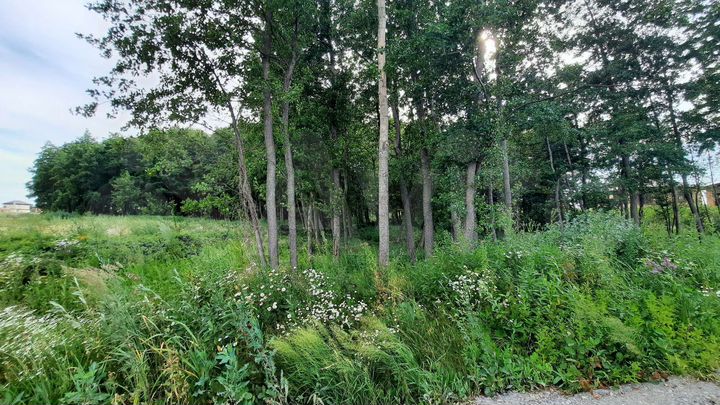 Участок 7 сот. (ИЖС)