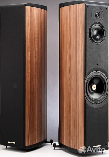 Sonus faber sale liuto tower