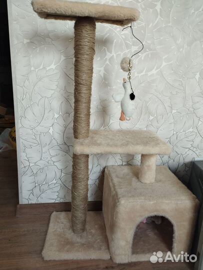 Когтеточка домик для кошки
