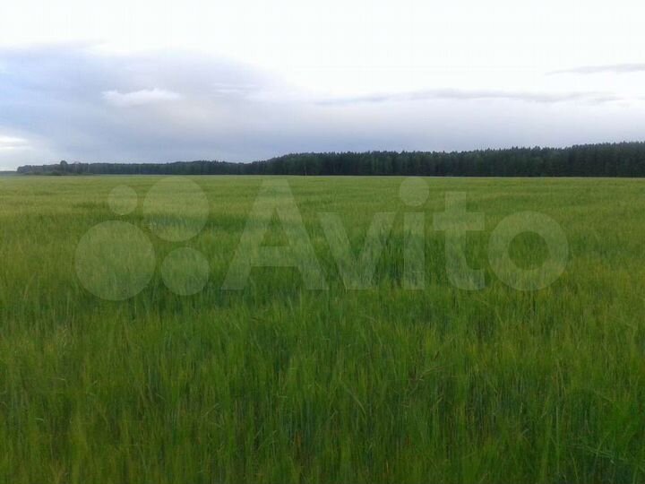 Участок 9,78 га (СНТ, ДНП)