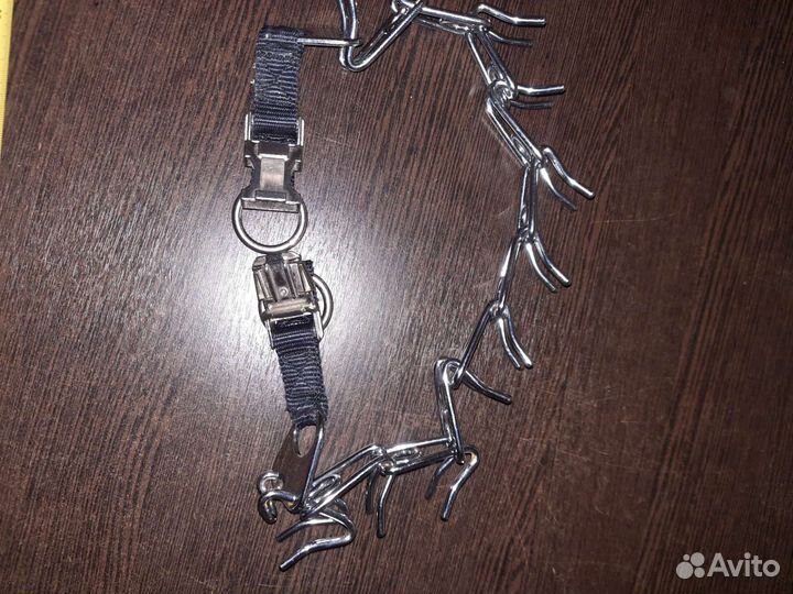 Строгий ошейник для собак