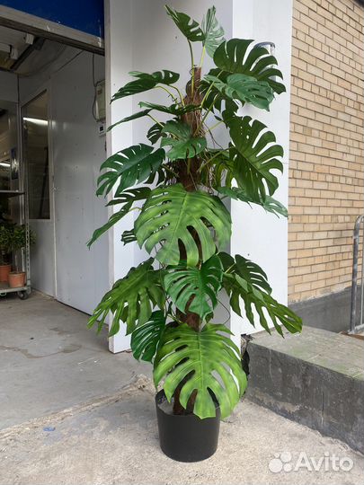 Монстера искусственная
