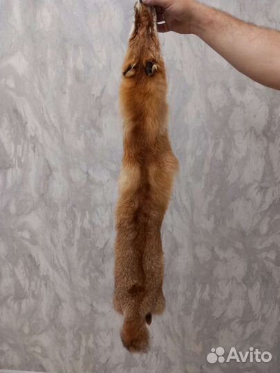 Шкурки лисы