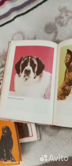 Книги о сабакаводстве