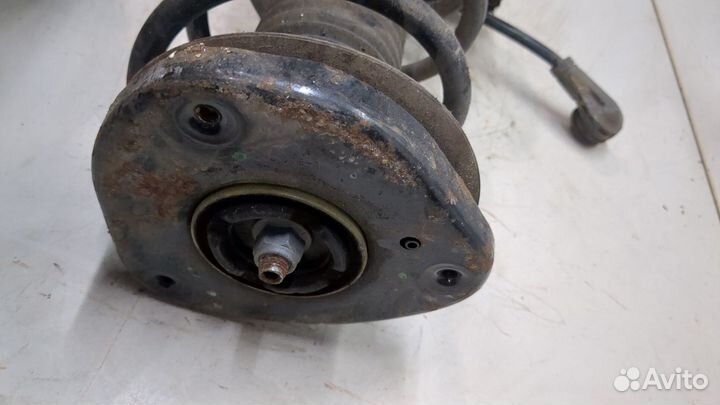 Амортизатор подвески Ford Focus 4 2018, 2018