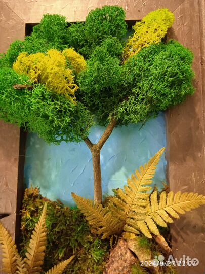 Картины из стабилизированного мха