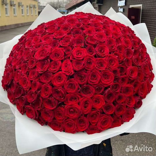 Высокие премиум розы Эквадор 70 90 см Высокие