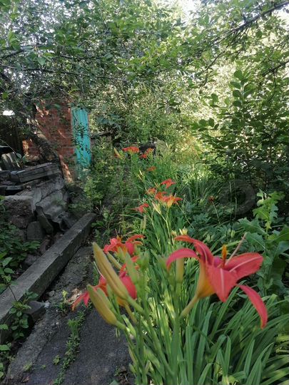 Дом 64 м² на участке 5 сот.