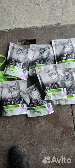 Корм для кошек проплан