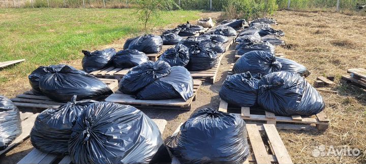 Удобрение от шампиньонов