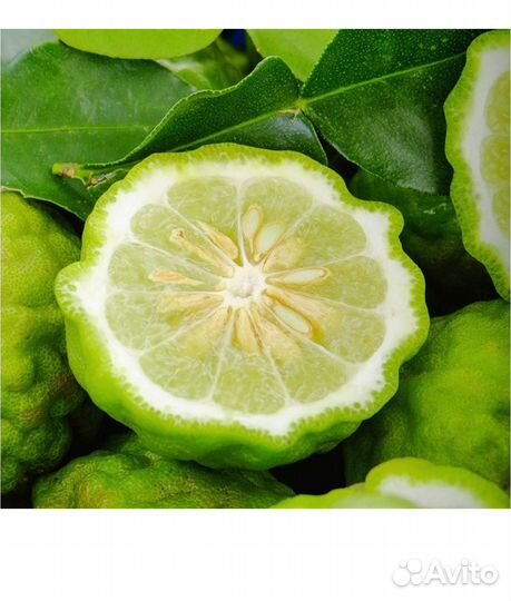 Yodeyma caribean Вода парфюмерная 50 мл