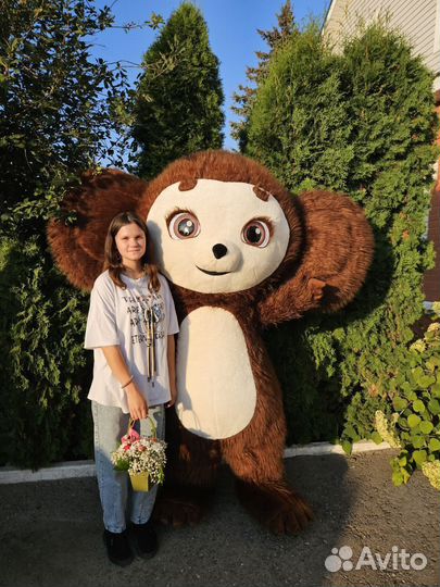 Чебурашка Поздравление. Аниматор на праздник