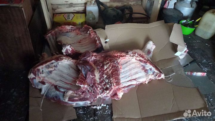 Телятина,говядина,мясо с Башкирии деревни