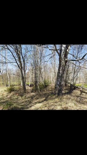 Участок 25 сот. (ИЖС)