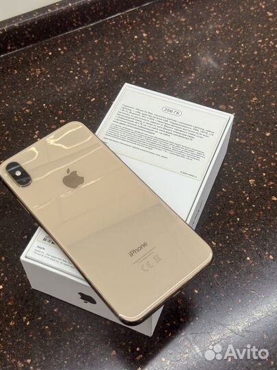 iPhone Xs Max, 256 ГБ