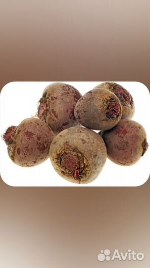 Продам оптом и в розницу