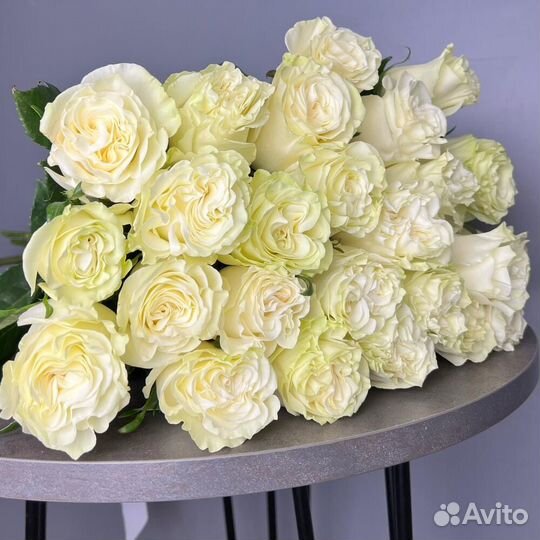 101 роза 51 31 25 Роза Цветы доставка