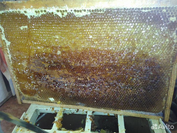 Сушь для пчел, улья