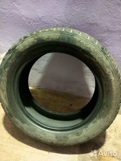 Gislaved Nord Frost 5 205/55 R16 94T