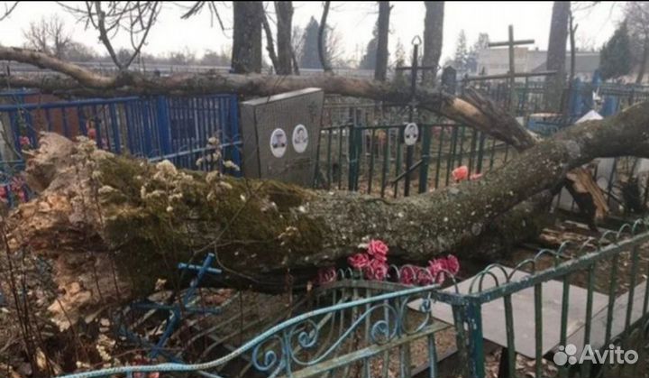 Покос травы, борщевика и уборка участка