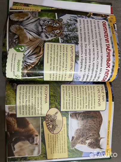 Энциклопедия животные с развивающими заданиями