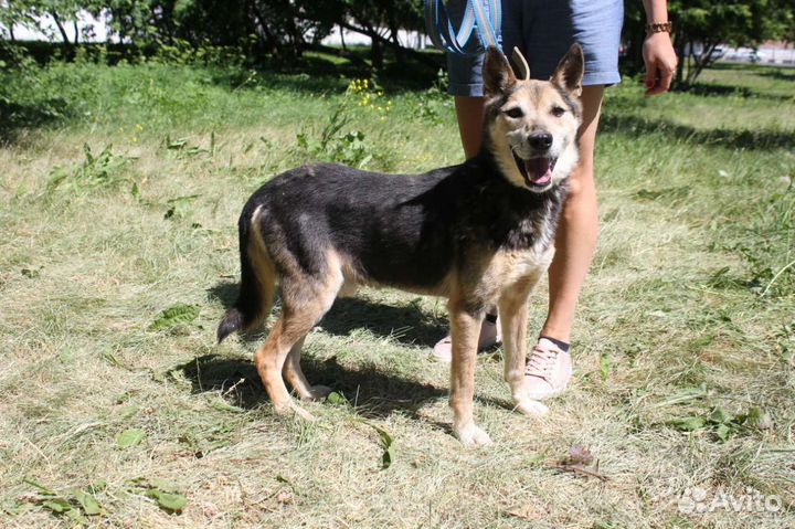 Добряк а никому не нужен а он ждет