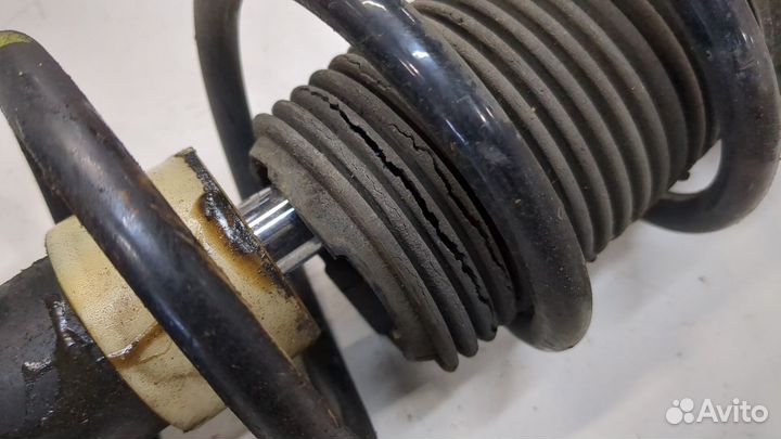 Амортизатор подвески Smart Forfour W454, 2006