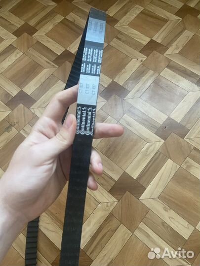 Ремень грм Continental