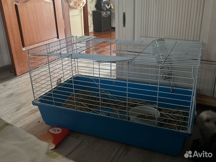 Декоративный кролик с клеткой