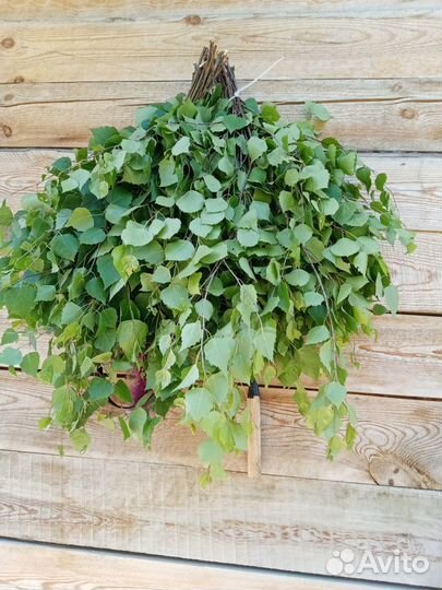 Веники для бани берёзовые