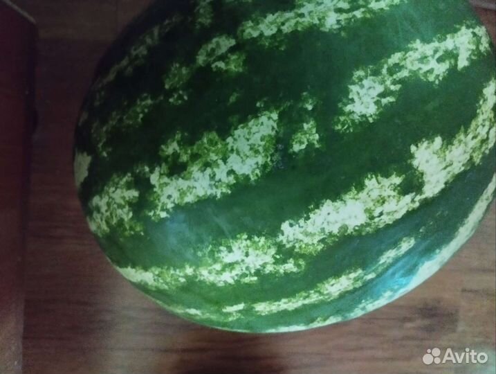 Арбуз и дыня