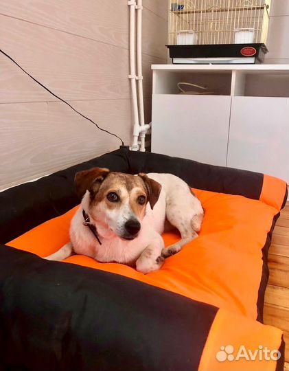 Маленькая Мия 2 года ищет дом