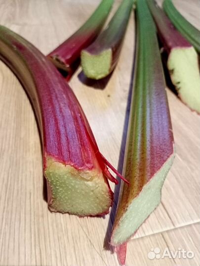 Ревень стебли