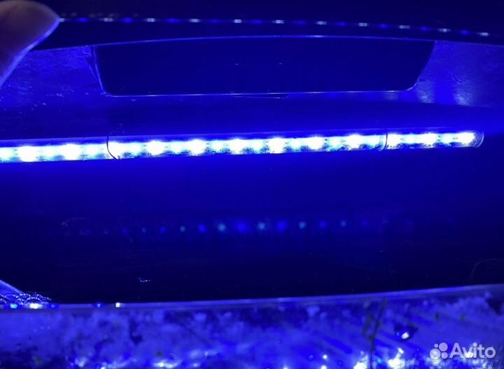 Аквариум на 40 литров