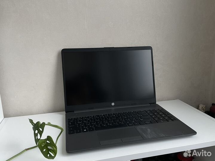 Ноутбук hp 255 g8