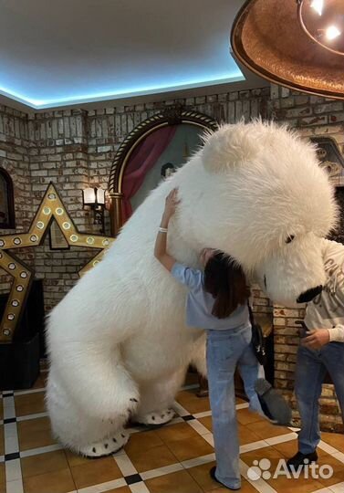 Белый мишка поздравление, медведь аниматор