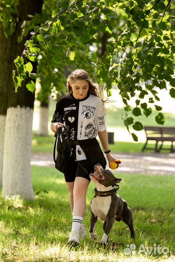 Услуги кинолога. Дрессировка и воспитание собак