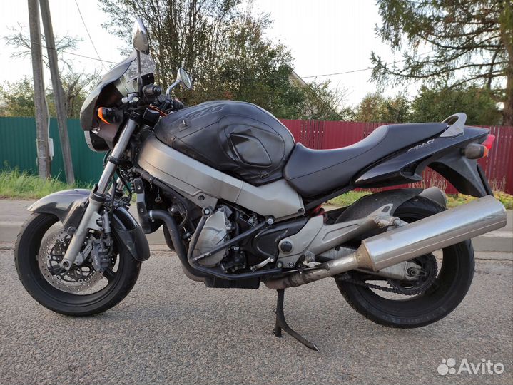 Honda X11