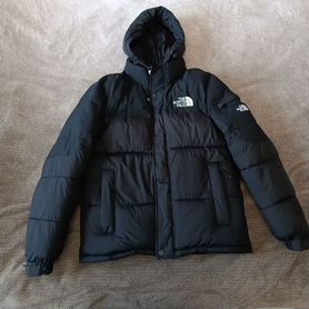 Пуховик tnf