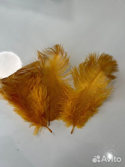 Перья для декора 3 шт