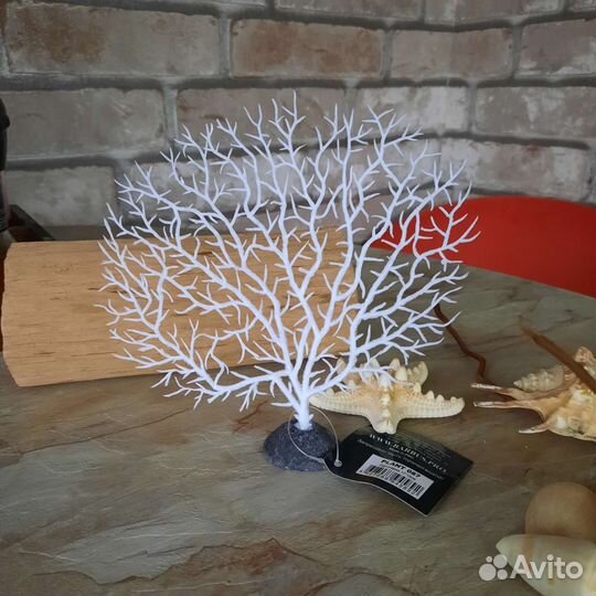 Горгонария для аквариума