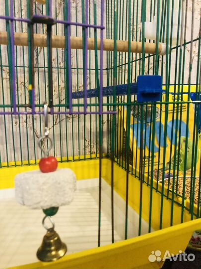 Клетка для попугая б/у