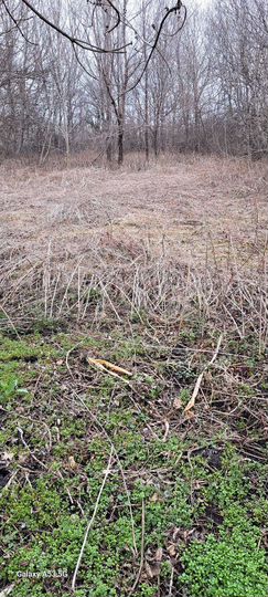 Участок 22 сот. (ИЖС)