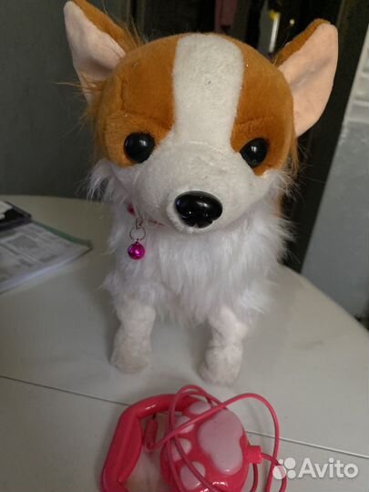 Собачка на поводке