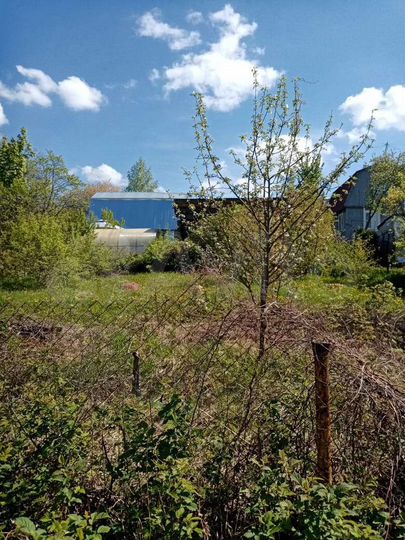 Участок 3,5 сот. (ИЖС)