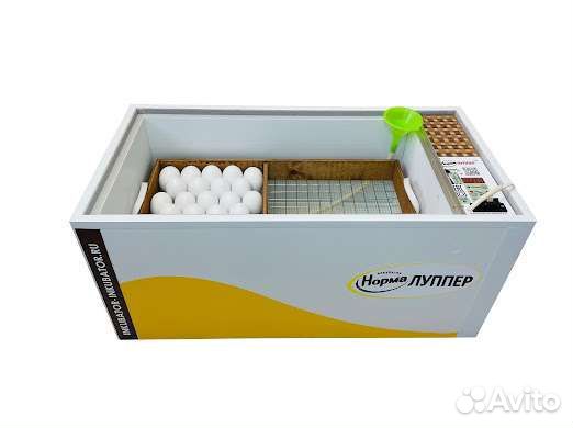 Инкубатор блиц норма автомат (Матрица Дели)