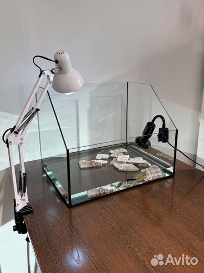 Красноухая черепаха с аквариумом