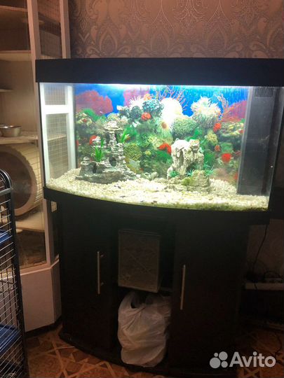 Аквариум
